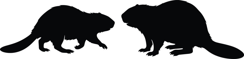 Black silhouettes of two beavers facing each other isolated on white background for nature and wildlife themes © SreePoreshChandra
