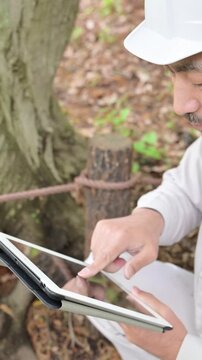 タブレットを使って樹木を点検する作業員、インフラの安全管理と公園の設備保守や施設管理、行う技術者の現場メンテナンス業務の縦動画
