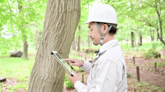 タブレットを使って樹木を点検する作業員、インフラの安全管理と公園の設備保守や施設管理、行う技術者の現場メンテナンス業務の動画