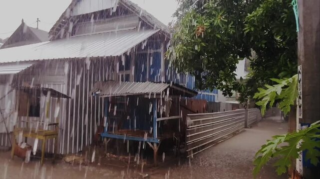 Close-up shot of heavy rain pouring down from a corrugated metal roof against a blurred green tree background. Peaceful yet dramatic rainy season atmosphere, capturing the texture of falling water
