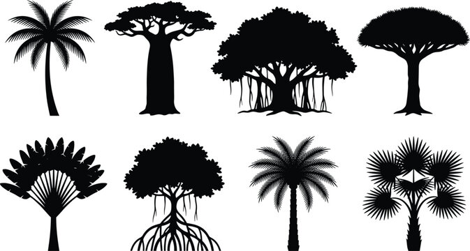 Exotic Tropical Tree Silhouettes Set Including Palm Baobab Banyan and Mangrove Icons for Botanical Nature Design Projects
