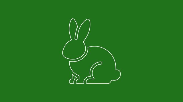 Rabbit icon animation, Minimal  editable White Rabbit Outline Icon on Green Background.