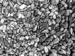 Black and white pebble stones texture background full frame. Smooth river rocks gravel layout for garden landscaping, spa decoration, zen design concept, and abstract monochrome nature backdrop. © Aryo