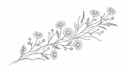 Fototapeta premium Vintage botanical chamomile illustration, hand drawn wildflower bouquet vector, black and white floral line art for wedding invitations and herbal branding