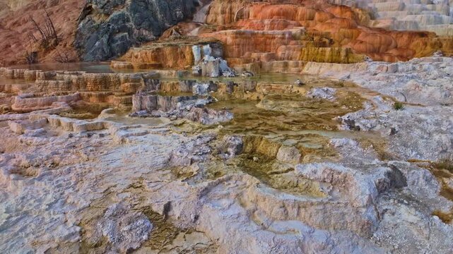 Scenic terraces at Mammoth Hot Springs