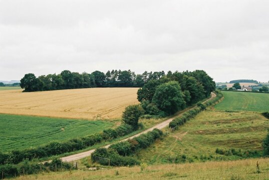 Aerial view of winding shelterbelt trees conserving soil in rolling hills