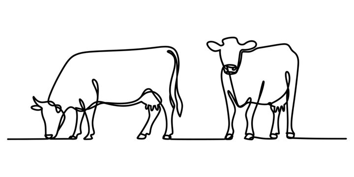 Two cows continuous line drawing illustration