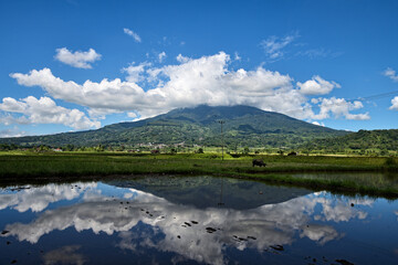Fototapeta premium Majestic Mount Singgalang and water plains