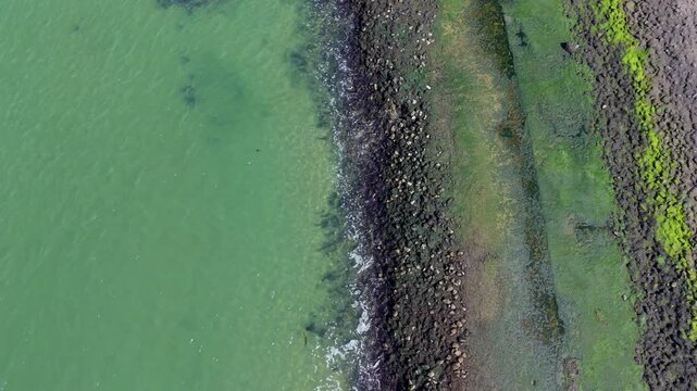 Top-down aerial view of a rocky coastline covered in green moss and seaweed. Drone landscape of clear emerald ocean water and a coastal breakwater sea defense structure, panorama.