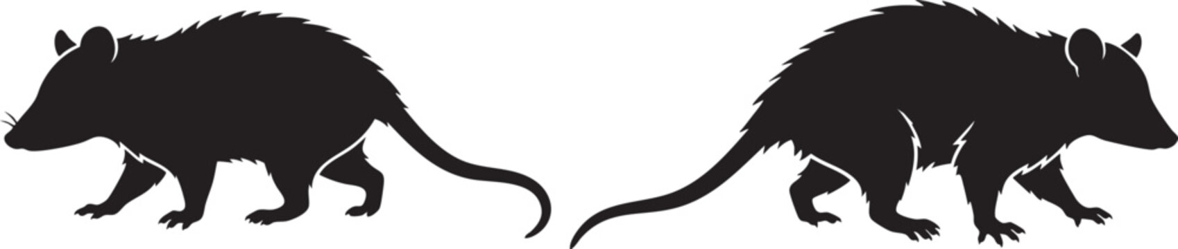 Opossum, silhouette, vector, animal, wildlife, marsupial, rodent, nature, mammal, fauna, illustration, black, set, collection, icon, emblem, stencil, tail, wild, possum