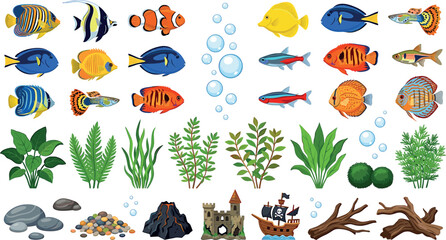 Colorful flat cartoon tropical reef fish aquarium plants and underwater decorative ornament vector element set for marine pet shop website design © ALOMGIR