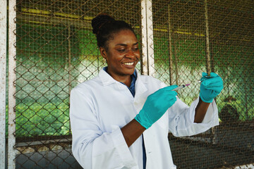 Farmers are checking the health of chickens on the farm in preparation for export.   © eakarat