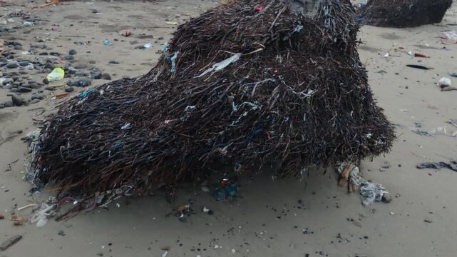 Exposed palm tree roots entangled with plastic pollution on a dirty sandy beach. 