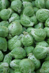 Fototapeta premium Fresh brussels sprouts in a market display during daytime
