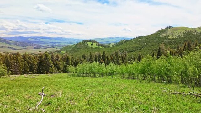 A sweeping panoramic view captures the mountains and wilderness of Yellowstone National Park