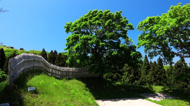 勝山館跡