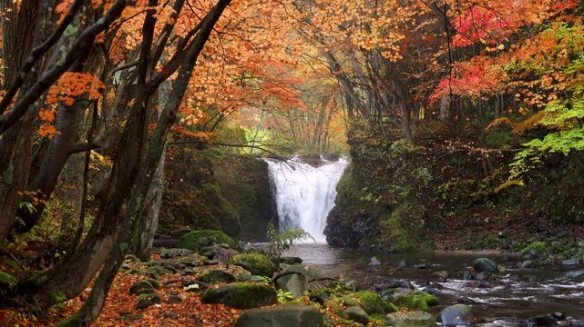 止滝の紅葉