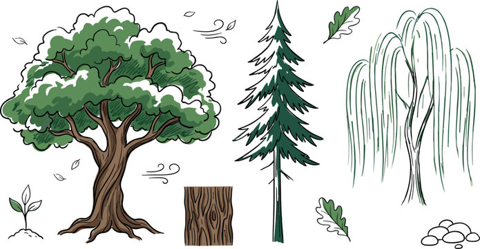 Hand Drawn Forest Tree Collection with Oak Pine and Weeping Willow Vector Graphic Elements for Nature and Landscape Designs