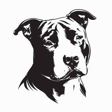 Pit Bull Dog Head Vector Design Isolated on White Background