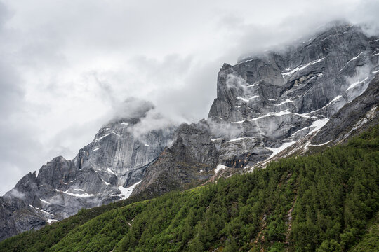 High-mountain forest landscape featuring a massive rock face with lingering snow under overcast skies