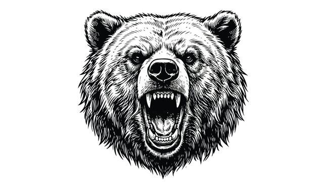 Grizzly bear head vector illustration, angry roaring brown bear mascot, black and white wildlife animal portrait for sports logos and apparel