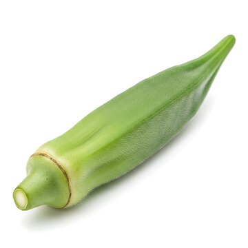 Fresh green ladyfinger vegetable isolated on white background close up