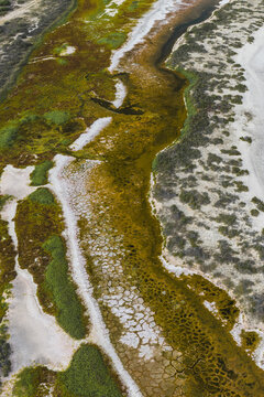 Aerial view of the coastal wetlands and cracked mud flats near La Ventana, Baja California Sur, Mexico.