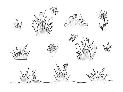  A simple black-and-white line drawing of a nature scene. It features elements typically found in a backyard, meadow, or garden: