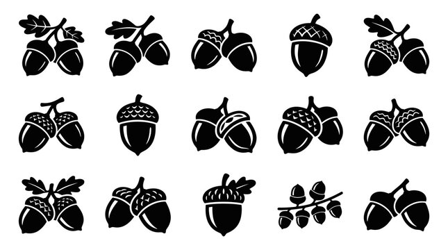 Nature Acorns Black  White Glyph Icon Set - Oak Tree Nuts for Autumn and Forest Themes