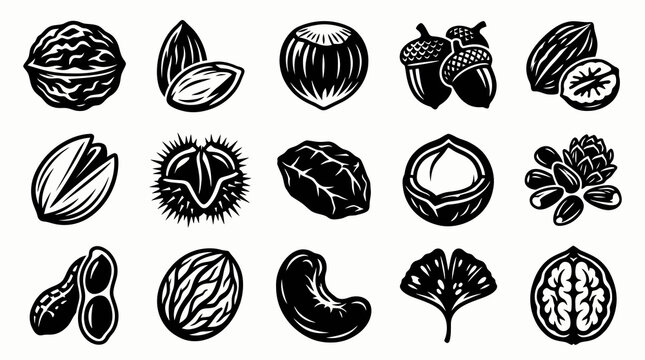 Food  Agriculture Black and White Line Art Icons: Various Nuts and Seeds Glyph Collection