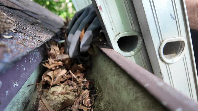 Man climbs ladder and cleans leaves from his gutter