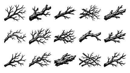Obraz premium Nature Black and White Line Art Set of Bare Tree Branches and Dead Wood Twigs - Spooky Silhouette Collection