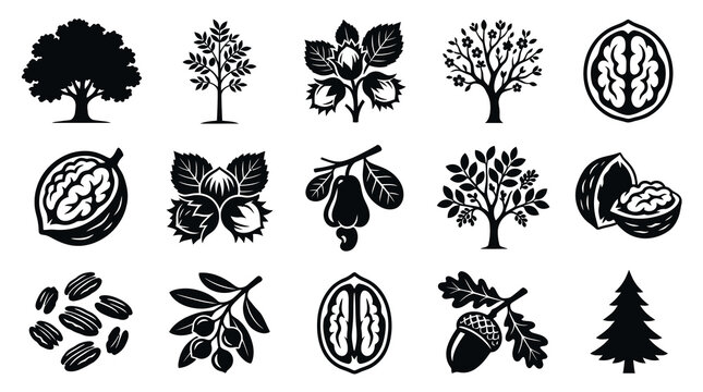 Black  White Glyph Icons of Nuts and Trees for Food Industry