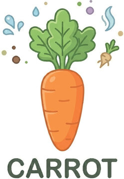 cute carrot with bunc of green leaves