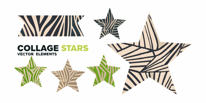 Collage Stars Vector Elements With Zebra And Botanical Patterns