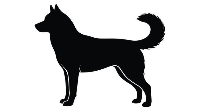 Siberian Husky dog silhouette vector, black canine profile standing on white background, Alaskan Malamute animal shape for logo design