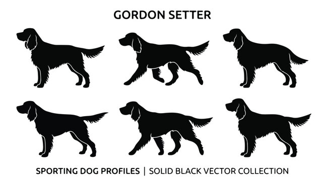 Gordon Setter dog silhouettes, set of 6 sporting dog profiles in solid black vector collection, purebred hunting dog poses for pet branding