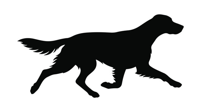 Black dog silhouette of a setter or retriever, hunting dog profile vector, standing canine animal shape isolated on white background