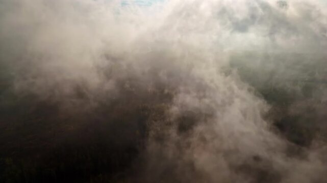 Ascending aerial over dense woodland into clouds