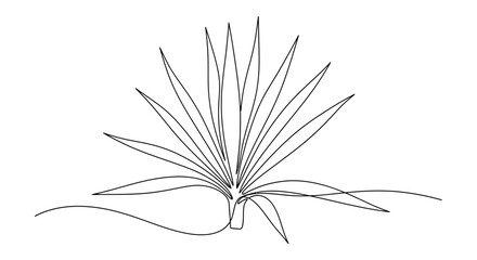 Obraz premium Minimalist Line Drawing of a Spiky Indoor Plant with Long Thin Leaves in Black and White Art Composition