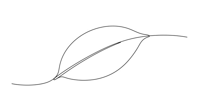 Minimalist Line Art of a Leaf with Simple Elegant Curves and Whispering Lines