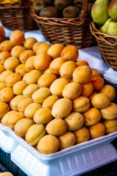 Fresh harvest of golden apricots