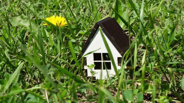 Little wooden house model on green grass near dandelion flower. Ecological countryside construction and real estate concept. Mortgage, home loan, build rural property