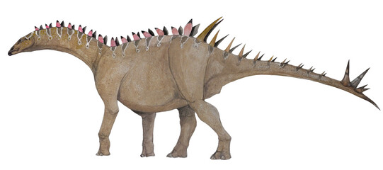 ミラガイア。ジュラ紀後期に生息したステゴサウルス科に属する恐竜の想像図 ガイア　はギリシャ神話では地球の化身である。 １７個以上の頸椎を持つ。種小名のロンギコルム(longicollum）は長い頸を意味する。  その特徴は背の高い木の葉を食べるのに適していた。  © Mineo