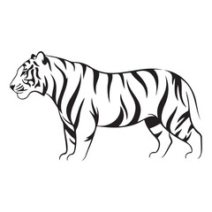 Obraz premium Black and white illustration of a tiger standing, facing left, with bold stripes on its body.