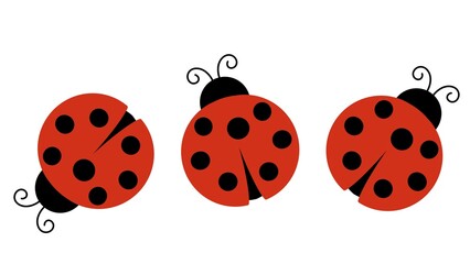 Flat design of lady bug on white background.  © FibriyantiNur