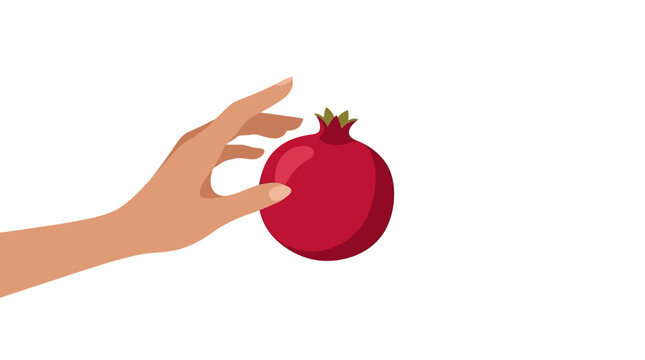 Human hand reaching to pick a fresh red pomegranate fruit on white background flat design vector illustration.