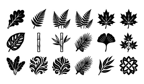 Botanical silhouettes collection leaves ferns bamboo and ornamental plant elements
