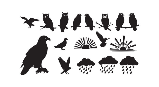 Avian wildlife set with various owls perched on branches hunting eagle pigeon silhouettes and rainy weather cloud symbols.