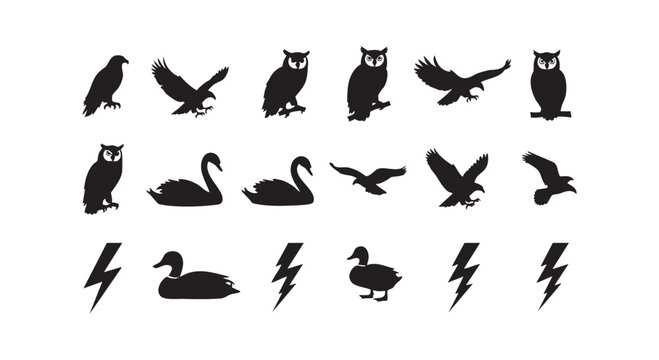 Avian silhouettes featuring owls eagles swans and ducks with lightning symbols for logo vector illustration collection.